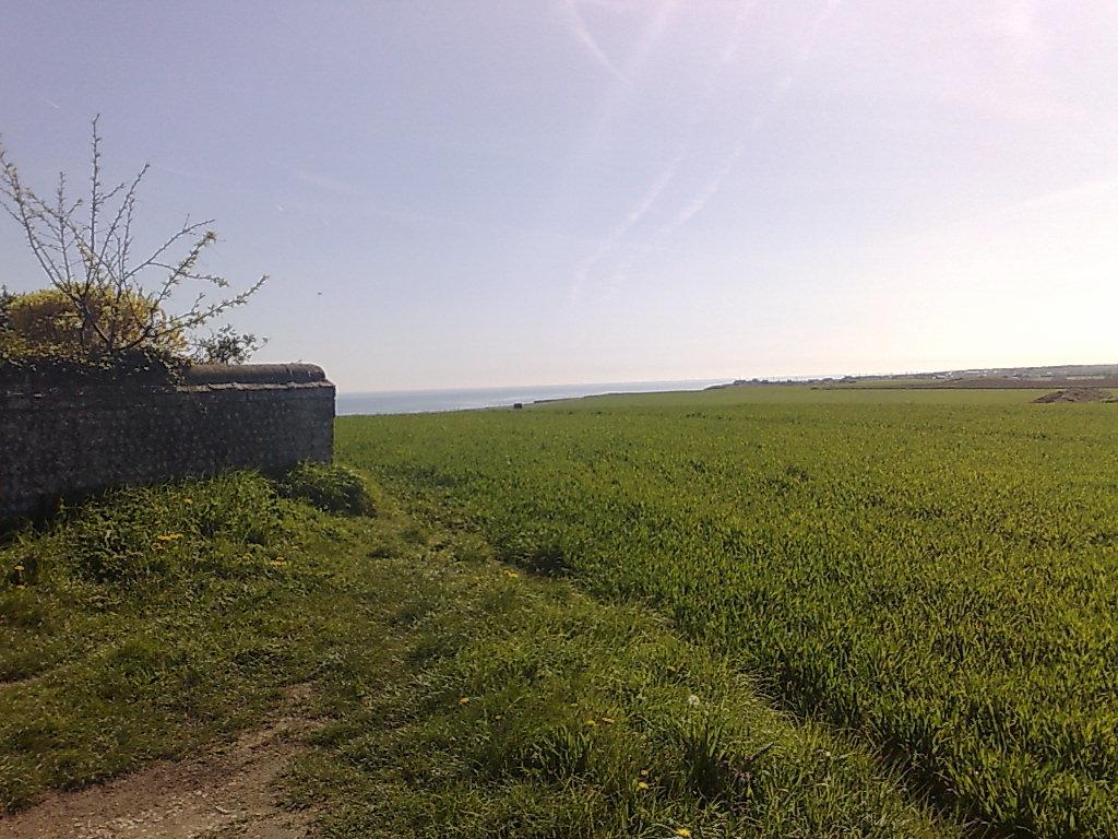 Seaview Cottage Bacton  Eksteriør billede